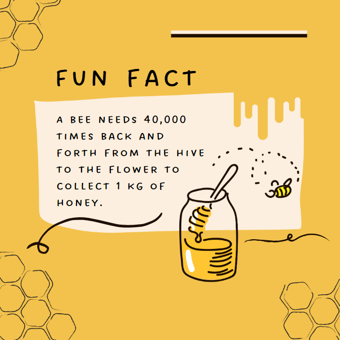 Uncovering the Sweet Secrets: Interesting Honey Facts