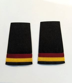 Apulates for Biman employee Admin section