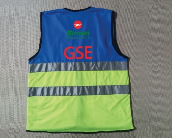 Exclusive Collection Two Pockets GSE Department Blue lemon Apron APR055