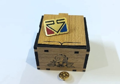 Exclusive collection Coat pin in 100% Brass (পিতল) PT001