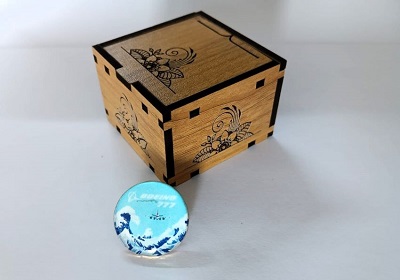 Boeing Exclusive collection Coat pin in 100% Brass (পিতল) BPT003