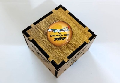 Boeing Exclusive collection Coat pin in 100% Brass (পিতল) BPT002