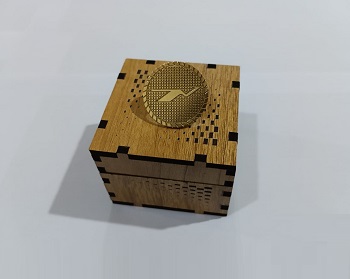 Exclusive Collection Biman Bangladesh Airlines 100% Brass (পিতল) Coat Pin CPIN004