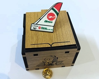 Biman Wings Coat pin in Brass and lamination with Box BW001