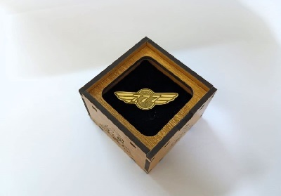 Boeing 777 Exclusive collection Coat pin in 100% Brass (পিতল) BPT005