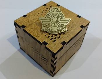 Exclusive Collection Civil Aviation Authority 100% Brass (পিতল) Coat Pin CPIN003