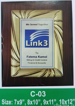 Demo Picture of Crest C03 (আলোচনা সাপেক্ষে প্রি - অর্ডার নেওয়া হয়)