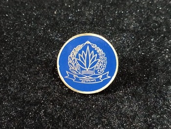 Police 100% Brass (পিতল) Coat Pin CPIN21