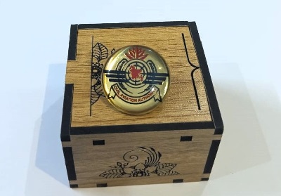 Civil Aviation Authority Coat pin in Brass (পিতল) and lamination with Box CACT001