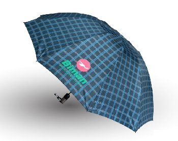 Best quality auto-open & close 10 ribs sun and rain protected 100% waterproof Umbrella UMB002