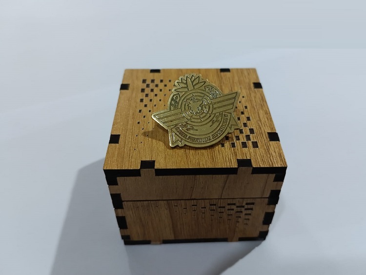 Exclusive Collection Civil Aviation Authority 100% Brass (পিতল) Coat Pin CPIN003