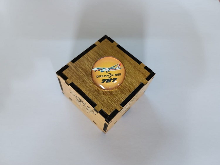 Boeing Exclusive collection Coat pin in 100% Brass (পিতল) BPT003