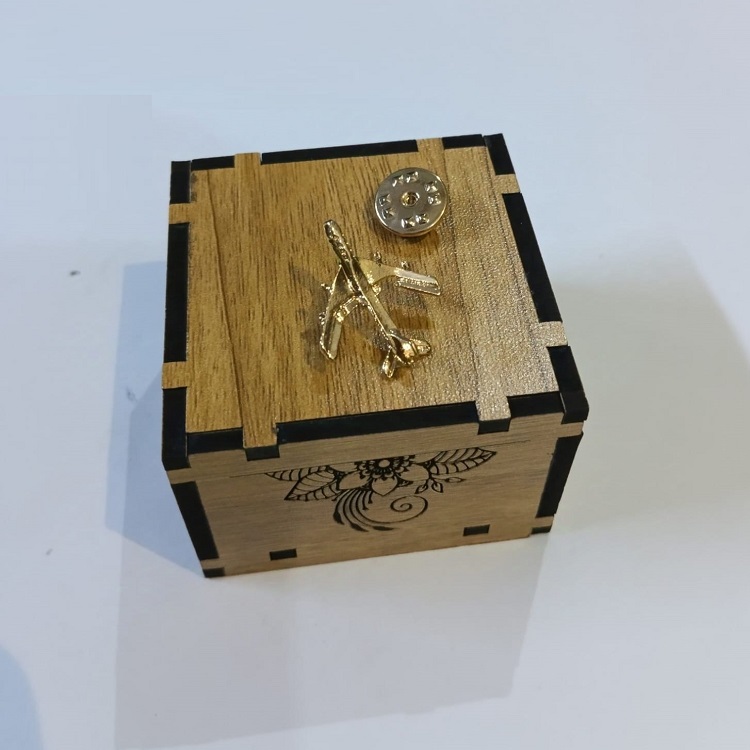 Coat pin Golden color Best Quality Metal with Box ET001