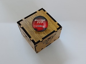 Boeing Exclusive collection Coat pin in 100% Brass (পিতল) BPT002