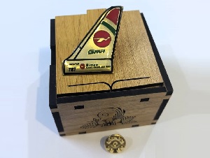 Coat pin in Brass with lamination with Box CT002