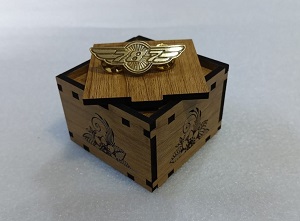 Boeing 787 Exclusive collection Coat pin in 100% Brass (পিতল) BPT004