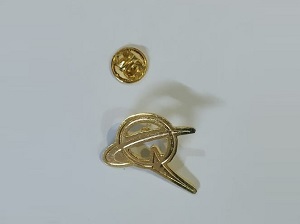 Exclusive collection Coat pin in 100% Brass (পিতল) PT002