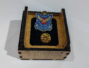 Exclusive Collection Biman Air Force 100% Brass (পিতল) Coat Pin CPIN007