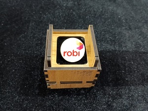 Robi 100% Brass (পিতল) Coat Pin CPIN19