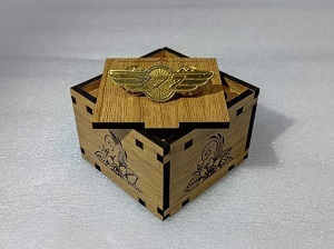 Boeing 777 Exclusive collection Coat pin in 100% Brass (পিতল) BPT005