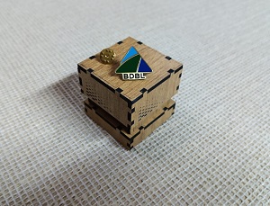 Bangladesh Development Bank LTD 100% Brass (পিতল) Coat Pin BNK004
